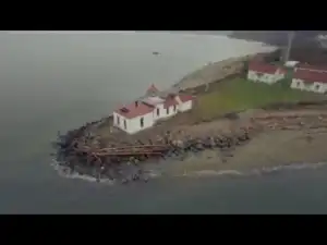 Video: Dave B - Leaves